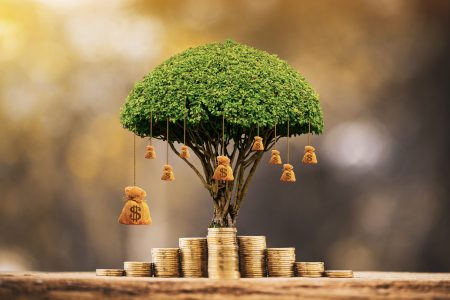 &iquest;Qu&eacute; son las afirmaciones efectivas?