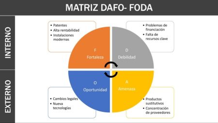 Tipos de debilidades: