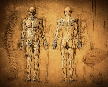 Guía completa de interno y externo: diferencias y definiciones Guía completa de interno y externo: diferencias y definiciones