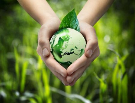Explorando los ecosistemas de mi comunidad: una mirada detallada Explorando la diversidad de los ecosistemas cotidianos