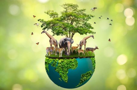Explorando los ecosistemas de mi comunidad: una mirada detallada Explorando los ecosistemas de mi comunidad: una mirada detallada