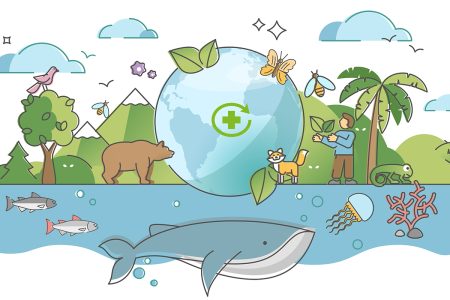 Explorando los ecosistemas de mi comunidad: una mirada detallada Explorando la complejidad de los ecosistemas y su funcionamiento