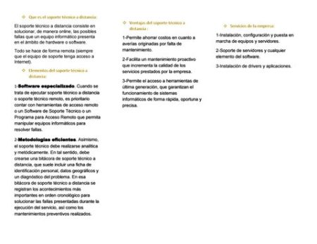 El proceso de soporte t&eacute;cnico remoto