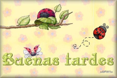 10 mensajes positivos de buenas tardes para alegrar tu día Consejos para iluminar tu tarde