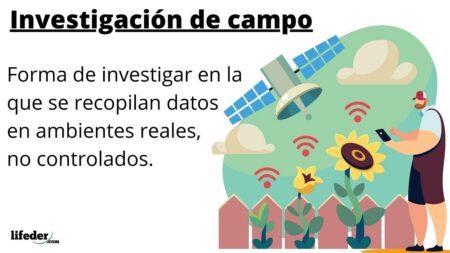 Explorando la psicolog&iacute;a a trav&eacute;s del estudio de campo
