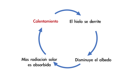 Maximizando el potencial de la retroalimentaci&oacute;n en diversos campos: empresas, comunicaci&oacute;n, educaci&oacute;n, medicina y circuitos el&eacute;ctricos.