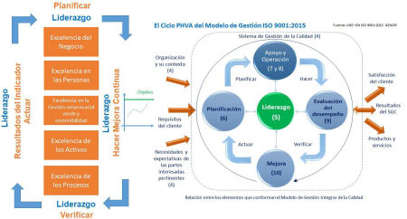 Optimiza tu Calidad: El Ciclo PHVA en ISO 9001 Implementación de un Sistema de Certificación