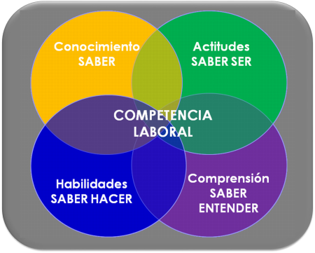 Guía completa sobre qué es gestión por competencias 2. Evaluación de competencias: