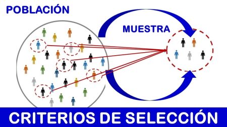 Paso 3: Realizar un proceso de selecci&oacute;n riguroso