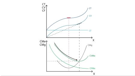 Guía completa sobre costes variables en una empresa: ejemplos y cálculos Cómo identificar los costos variables