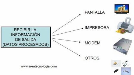 Todo lo que necesitas saber sobre sistemas informáticos Todo lo que necesitas saber sobre sistemas informáticos