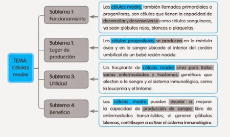 Explorando ejemplos de un subtema
