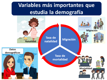 Características esenciales del segmento de mercado: todo lo que necesitas saber Tipos de segmentación