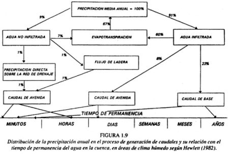 Importancia del ciclo del agua