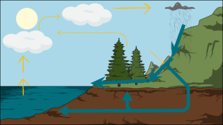 Importancia del Ciclo del Agua