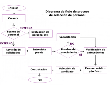 Explorando los pasos del m&eacute;todo cient&iacute;fico: una gu&iacute;a detallada