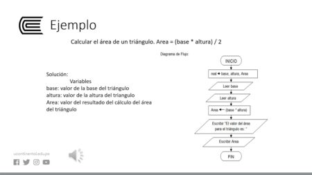 Paso 4: Revisa y optimiza