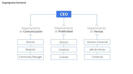 Conoce ejemplos de organización lineal en empresas exitosas Ejemplos de organizaciones lineales