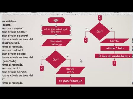 4. Toma de decisiones