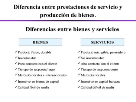 ¿Qué son los bienes y servicios?