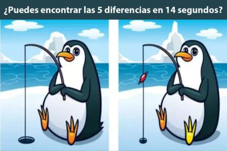 Preguntas abiertas