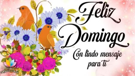 Frase 3: