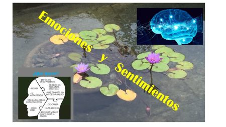 La batalla entre la mente racional y emocional: ¿Quién gana? Claves para un pensamiento claro y efectivo:
