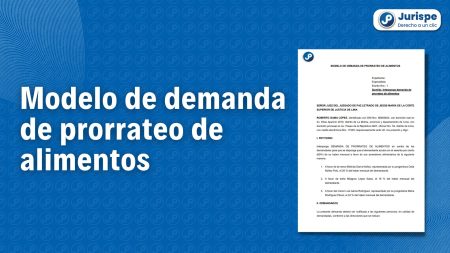 5. Presenta la demanda