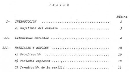 Gu&iacute;a paso a paso para estructurar un &iacute;ndice que potencie tu contenido