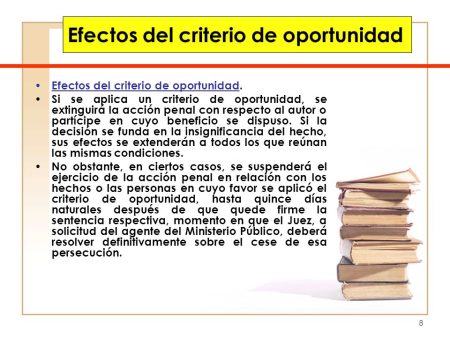 Importancia del principio de oportunidad