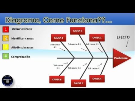&iquest;C&oacute;mo funciona?