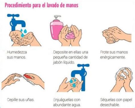 Explorando las caracter&iacute;sticas esenciales de un texto instructivo