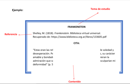 4. Argumentar y justificar las opiniones