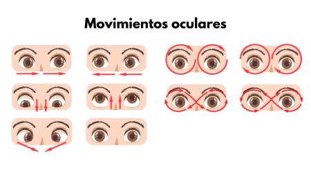 Importancia de proteger los ojos