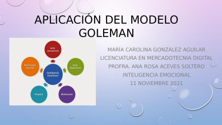Las emociones básicas según Goleman: todo lo que necesitas saber Explorando las emociones básicas según Goleman