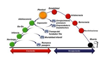 Conoce las diferentes fases que atraviesa una empresa en su desarrollo