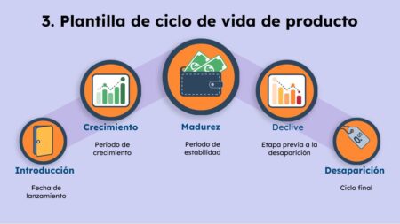 Comprende el Ciclo de Vida de una Empresa: Definici&oacute;n y Fases