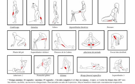 Importancia de la flexibilidad en diferentes &aacute;reas de nuestra vida: