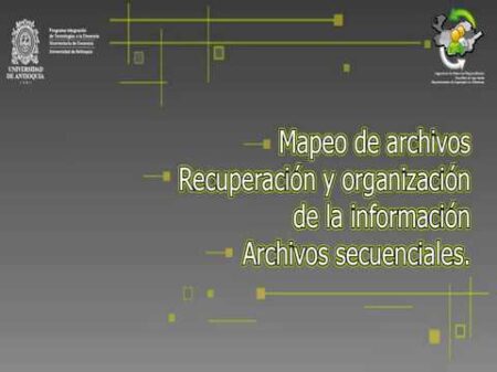 La organización de la información: todo lo que necesitas saber Organización de la información: