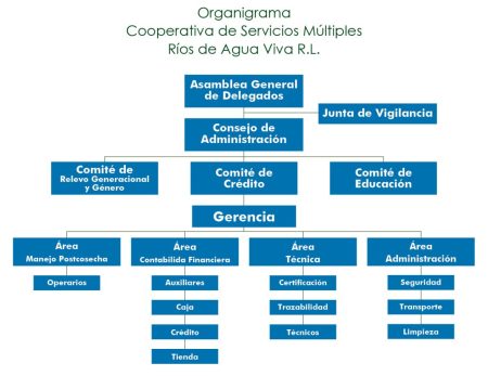 Todo lo que necesitas saber sobre el funcionamiento de una cooperativa Principales beneficios de formar parte de una cooperativa: