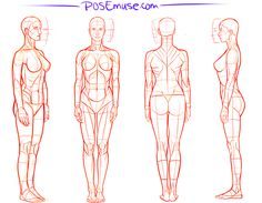 Potenciando tu bienestar con el acrosport: una disciplina que cuida cuerpo y mente