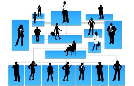 Explora los diferentes roles de gesti&oacute;n en una organizaci&oacute;n