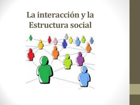 Explorando los pilares de nuestra sociedad
