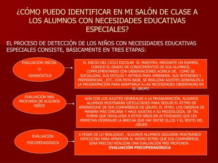 El papel fundamental de cada actor en la detecci&oacute;n de necesidades educativas