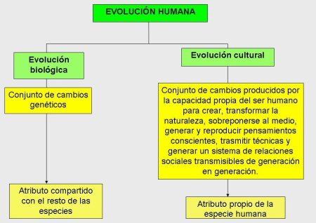 Idea secundaria: