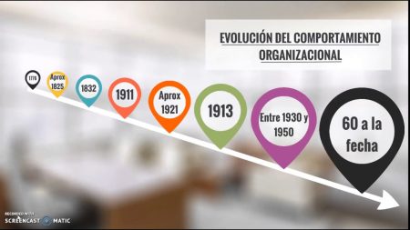 El ciclo de vida de las organizaciones: Fases y características clave Etapa de éxito
