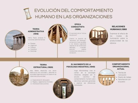 El ciclo de vida de las organizaciones: Fases y características clave El ciclo de vida de las organizaciones: Fases y características clave