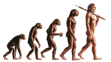 El viaje hacia la transformaci&oacute;n