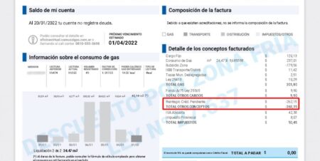 Optimiza tu contabilidad: C&oacute;mo contabilizar ingresos de ejercicios anteriores