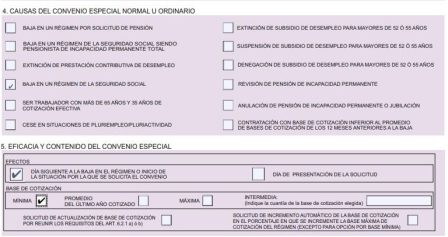 Pasos a seguir: